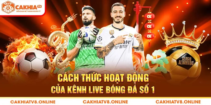 Cách thức hoạt động của kênh live bóng đá số 1 