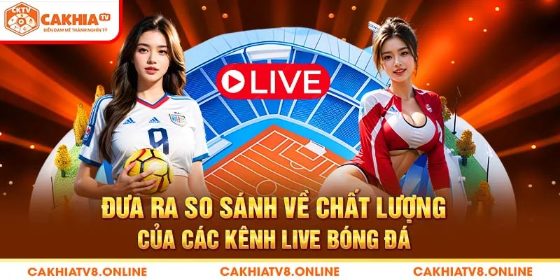 Đưa ra so sánh về chất lượng của các kênh live bóng đá 