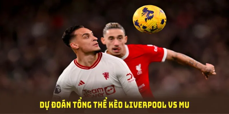 Dự đoán tổng thể kèo Liverpool vs MU