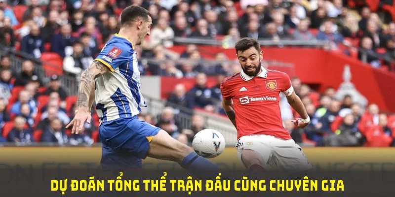 Dự đoán tổng thể trận đấu cùng chuyên gia khi soi kèo MU vs Brighton