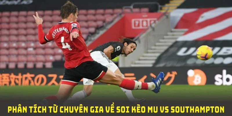 Phân tích từ chuyên gia về soi kèo MU vs Southampton đem lại góc nhìn đặc biệt cho bạn