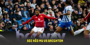 soi kèo mu vs brighton tại cà khịa tv